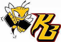 The Killer Bees team badge